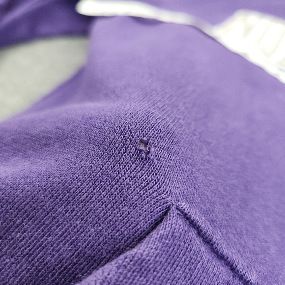 Champion Northwestern University Hoodie Mens Medium Multicolor Pullover Wildcat - Picture 6 of 7